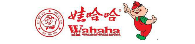 聯(lián)測電磁流量計在鍋爐計量系統(tǒng)上的應(yīng)用